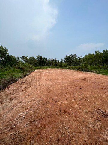  Plot For Sale in Ernakulam