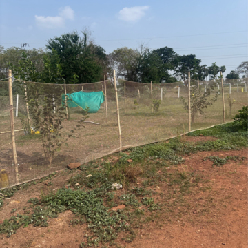 Plot Area in  Plot at Kunchanapalli – for Sale