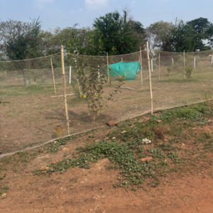 Plot Area in  Plot at Kunchanapalli – for Sale