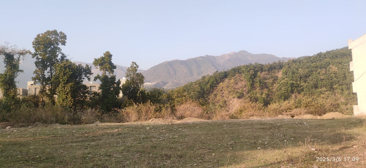Plot For Sale in Bidholi