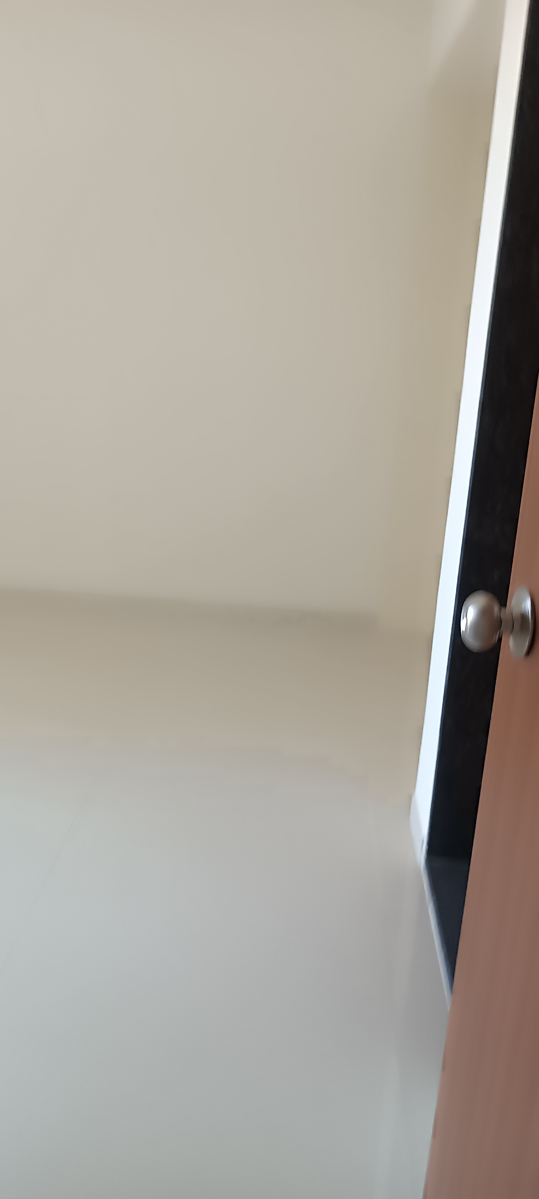 1 BHK Apartment For Rent in Raunak Bliss