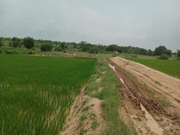 Plot Area in  Plot at Sector 82 – for Sale
