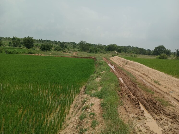 undefined, sector 82  3600 Sq.Ft. Plot In Sector 82 Gurgaon 8645844