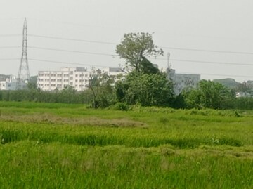  Plot For Sale in Sonarpur