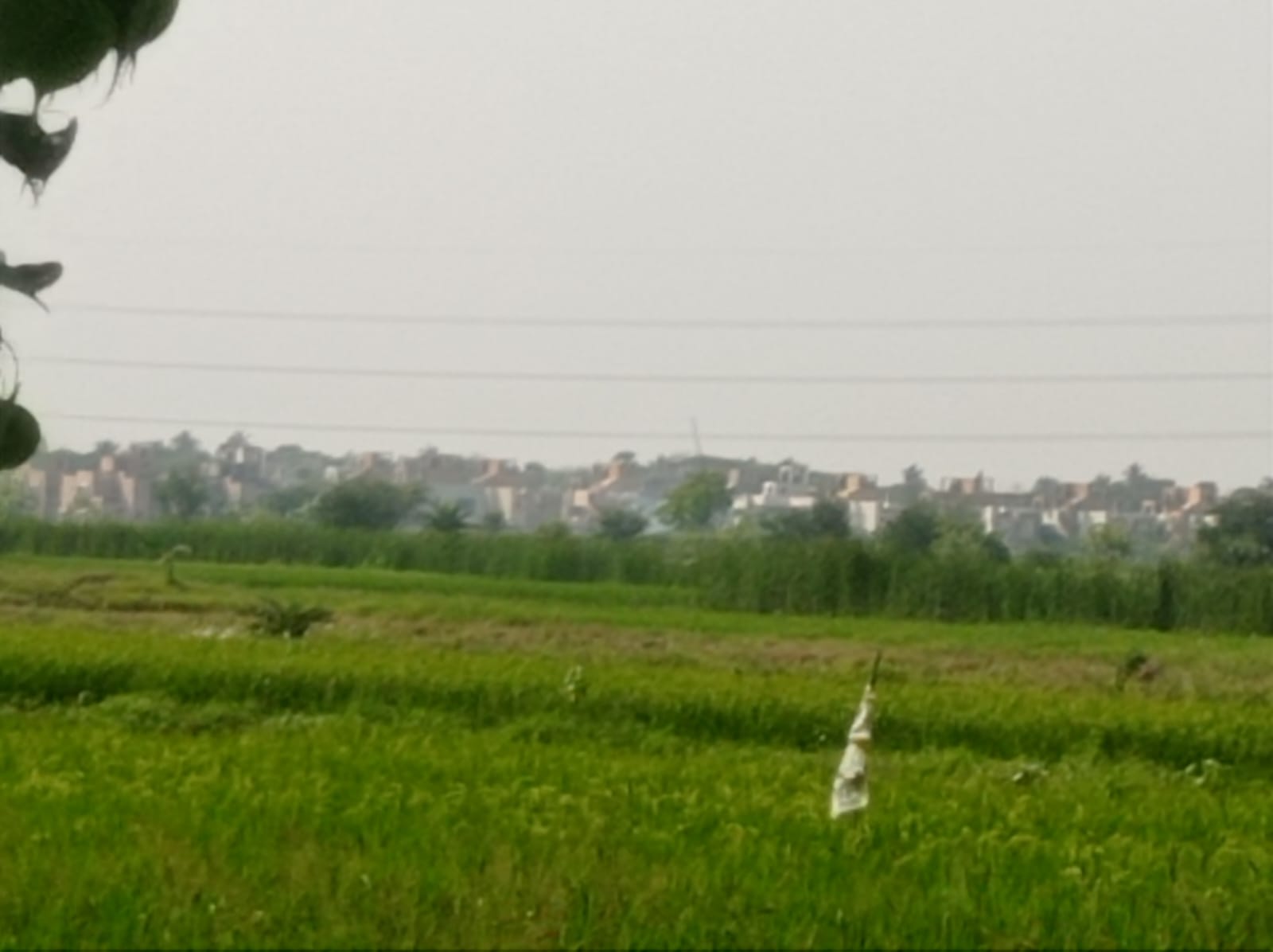 Plot For Sale in Shivolok City 