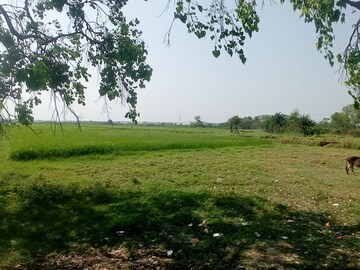 Plot Area in  Plot at Sonarpur – for Sale