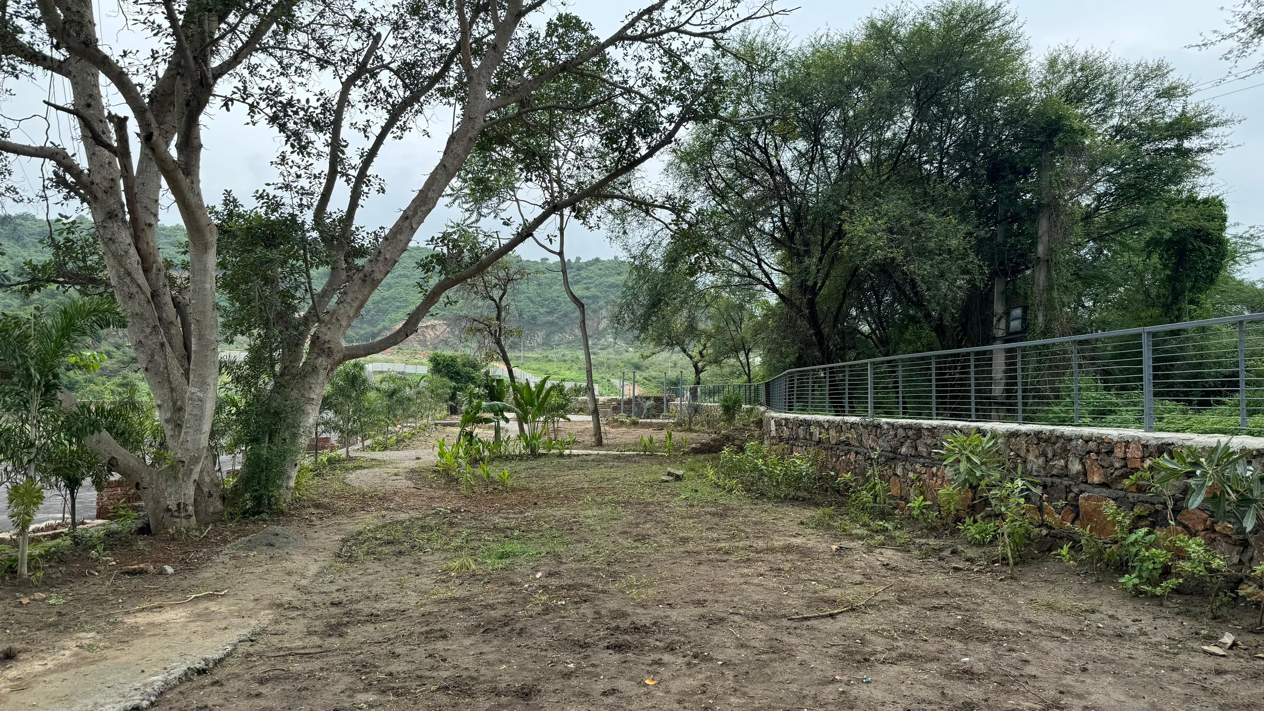 Plot For Sale in Sanguine Roots 