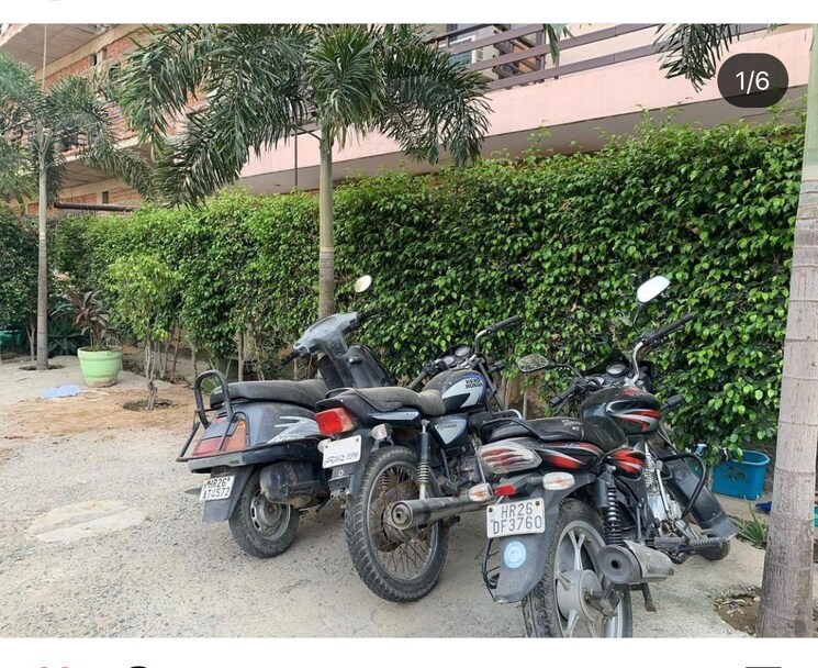  Parking, dlf city phase 3 1 Bedroom 700 Sq.Ft. Apartment In Dlf City Phase 3 Gurgaon 8646962