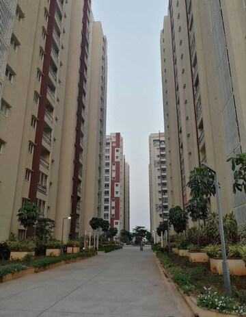 3 BHK Apartment For Rent in My Home Vihanga, Gachibowli