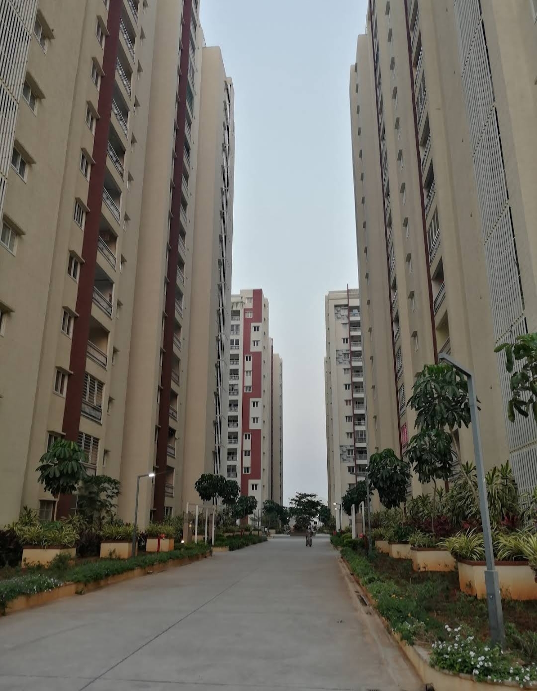 3 BHK Apartment For Rent in My Home Vihanga