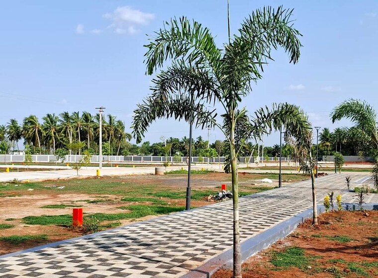 Exterior View, panjappur  2400 Sq.Ft. Plot In Panjappur Trichy 8647264