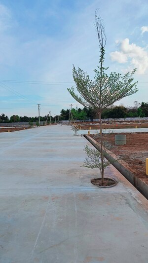  Plot – Exterior View View at Panjappur - for Sale