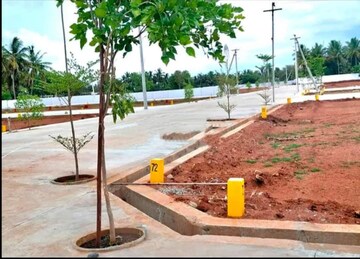  Plot – Exterior View View at Panjappur - for Sale