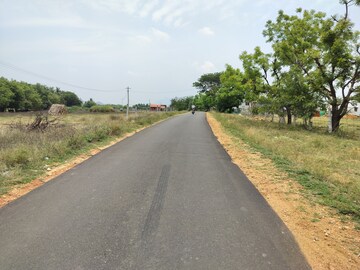Plot Area in  Plot at Viralipatti – for Sale