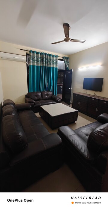 3 BHK Apartment For Rent in Pakhowal Road