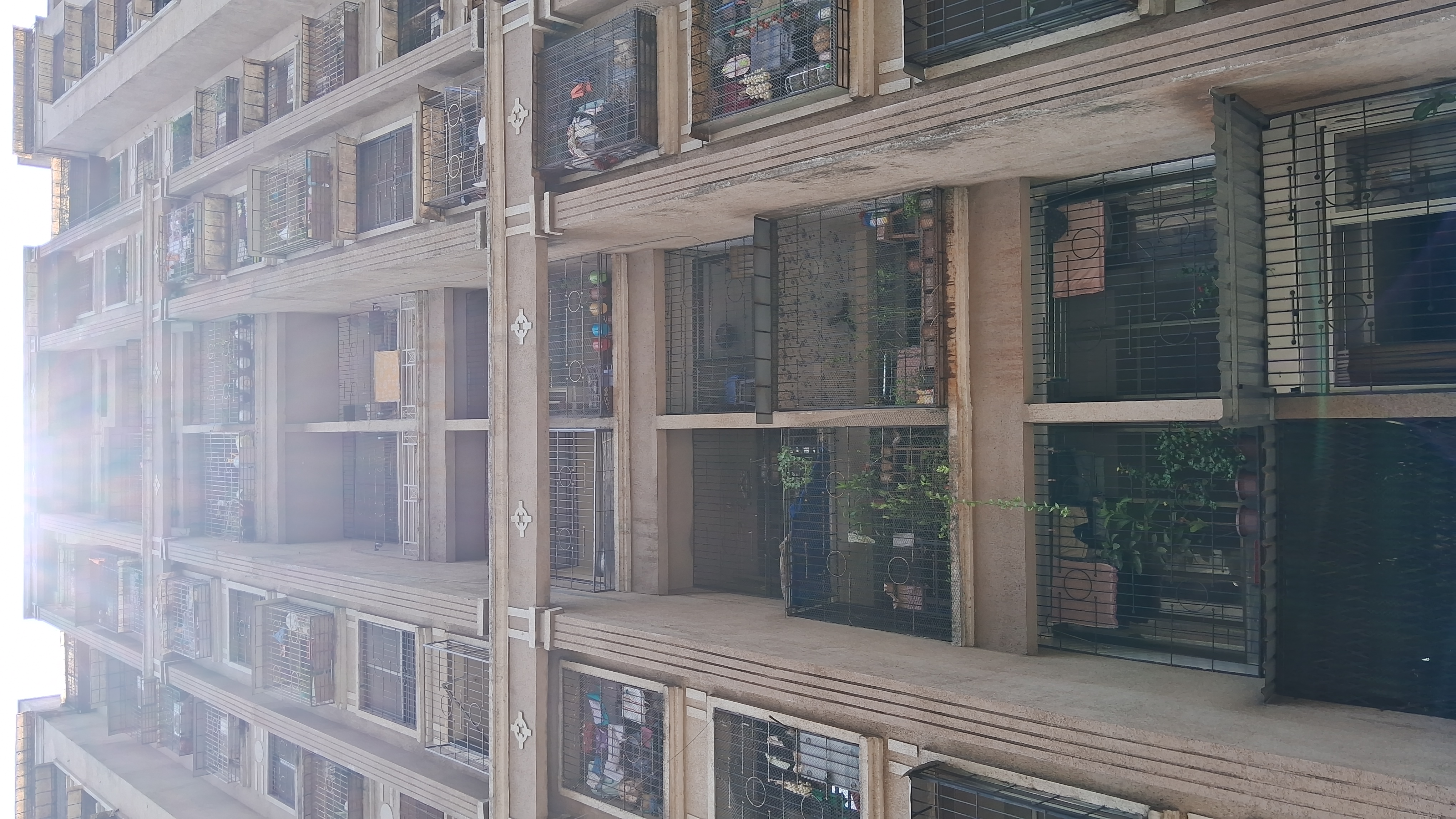 2 BHK Apartment For Rent in New Central CHS