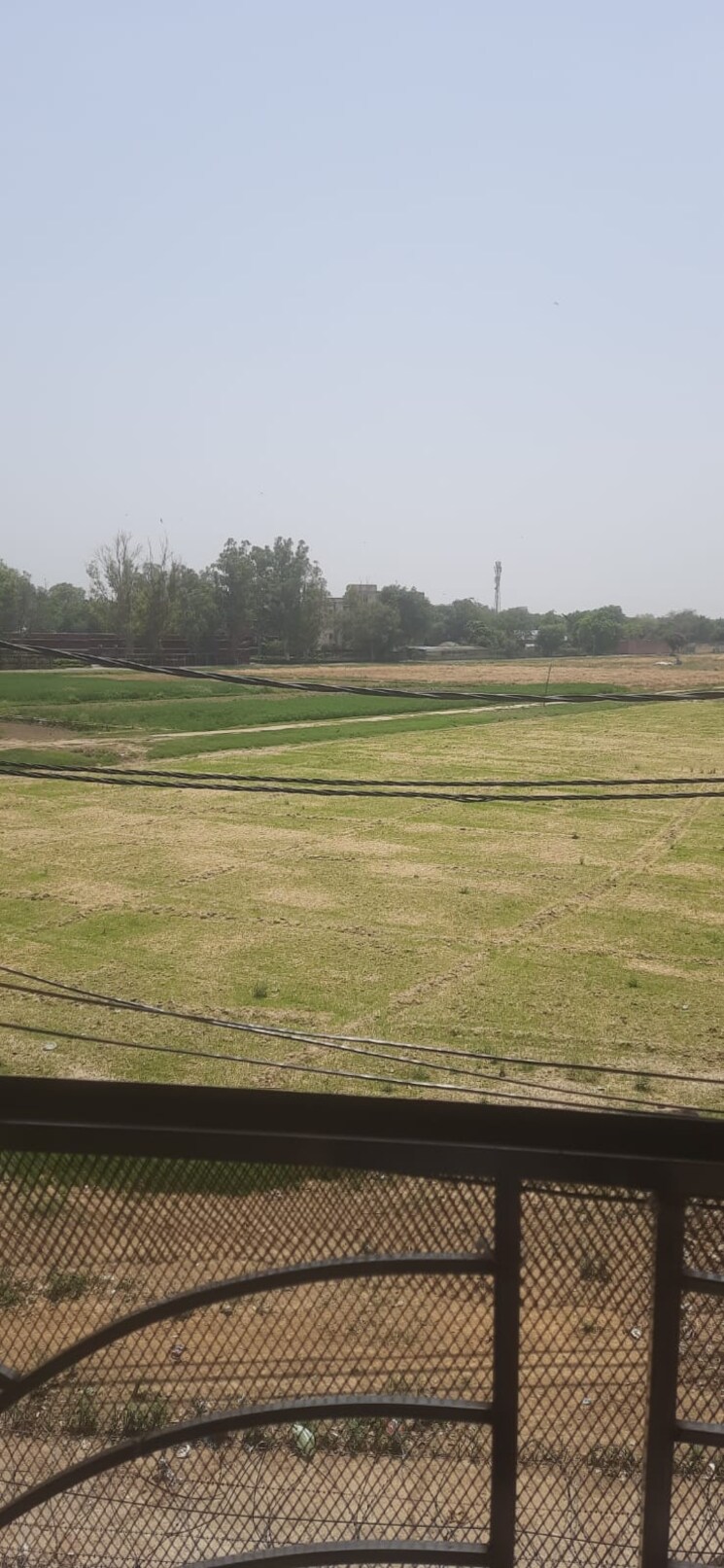 Garden, raheja-the-delhi-mall 3 Bedroom 900 Sq.Ft. Apartment In Patel Nagar Delhi 8647525