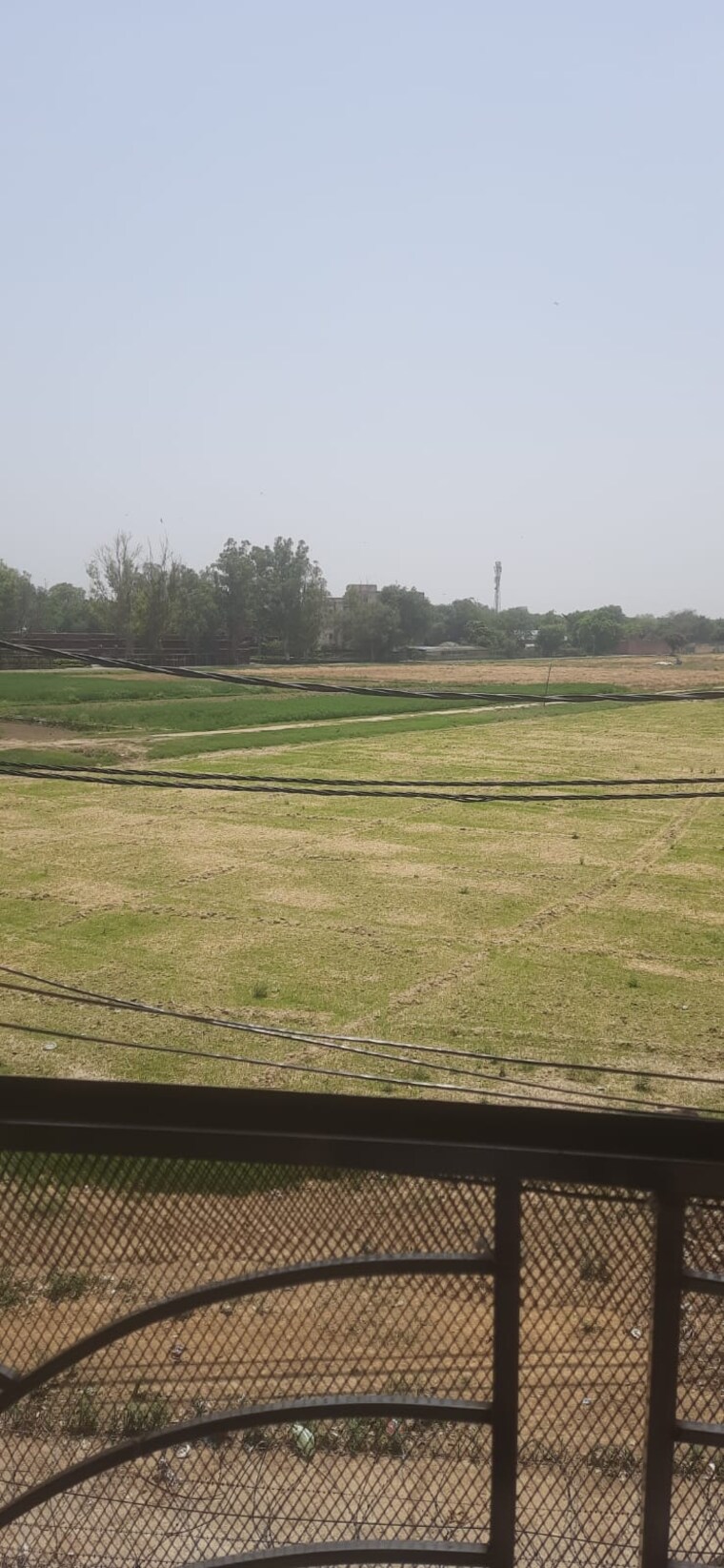 Garden, raheja-the-delhi-mall 3 Bedroom 900 Sq.Ft. Apartment In Patel Nagar Delhi 8647525