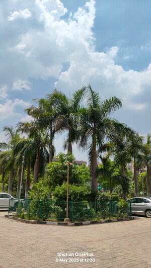 3 BHK Apartment – Exterior View View at Sector 20 - for Sale