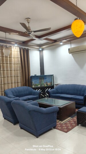 3 BHK Apartment For Sale in Sector 20
