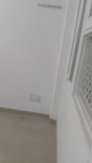 3.5 BHK Builder Floor For Rent in Mayur Vihar