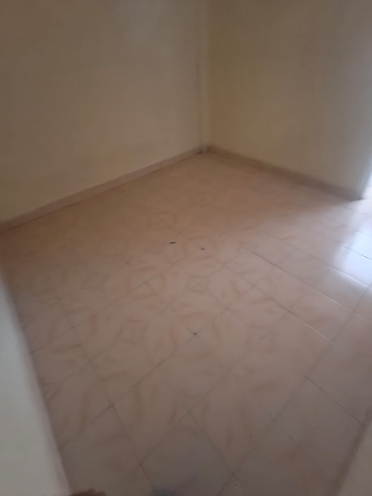 2 BHK Apartment For Rent in Omkar Palace CHS