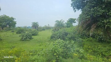  Land – Exterior View View at Barbodhan - for Rent
