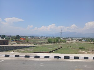 Plot Area in  Plot at Sherpur – for Sale