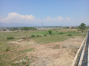 Plot Area in  Plot at Sherpur – for Sale