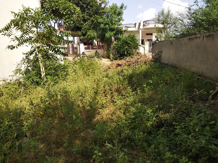 undefined, jagatpura  2100 Sq.Ft. Plot In Jagatpura Jaipur 8649608