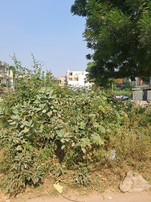  Plot – Garden View at Sushant Lok Iii - for Sale