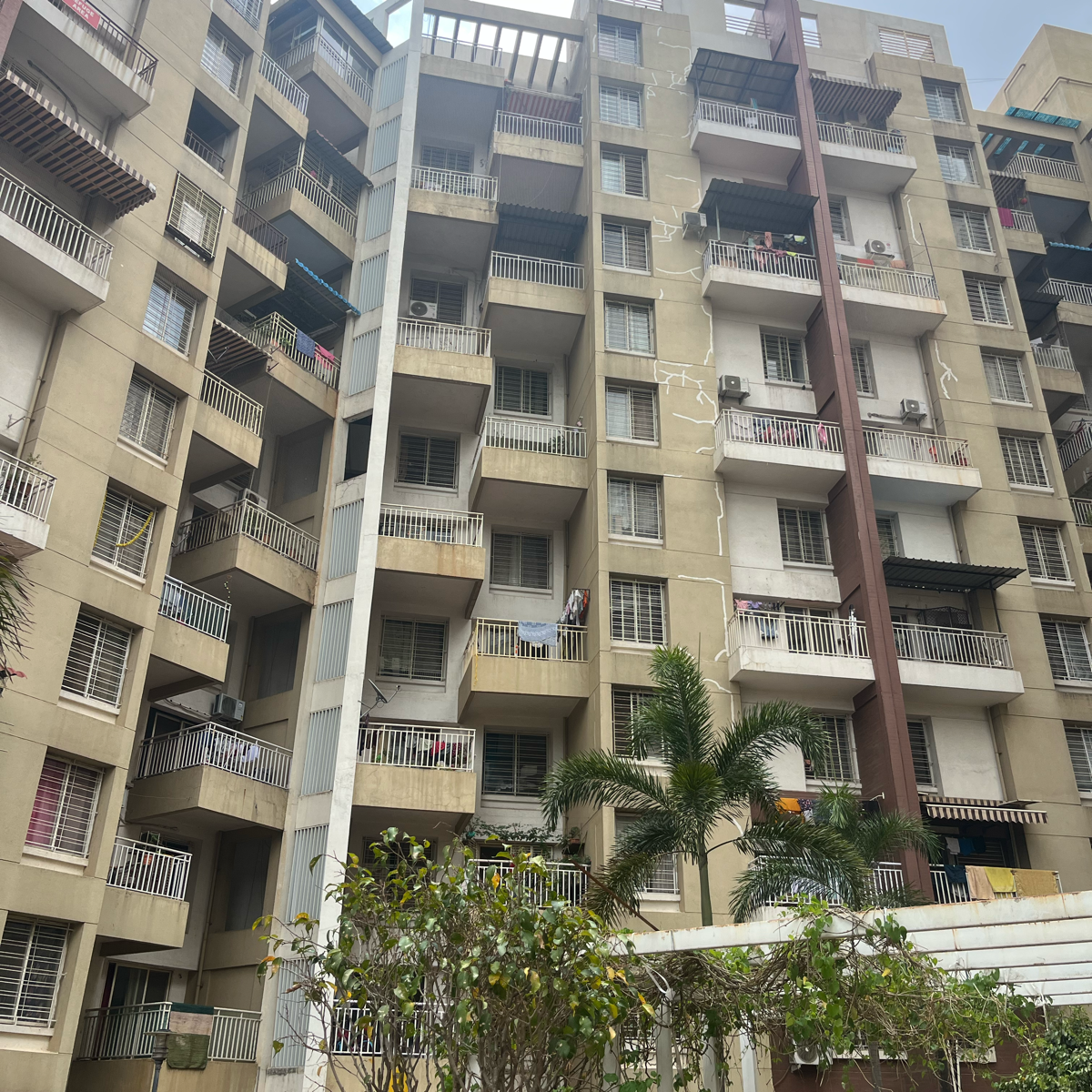 3 BHK Apartment For Rent in Shreeyash Shree Woods