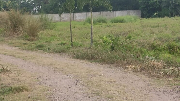 undefined, joka  2880 Sq.Ft. Plot In Joka Kolkata 8650153