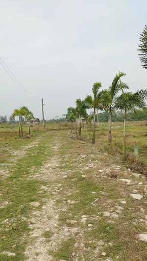 Plot Area in  Plot at Joka – for Sale