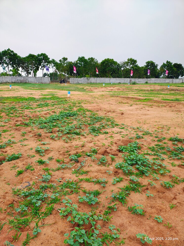 Garden, adibatla  200 Sq.Yd. Plot In Adibatla Hyderabad 8650508
