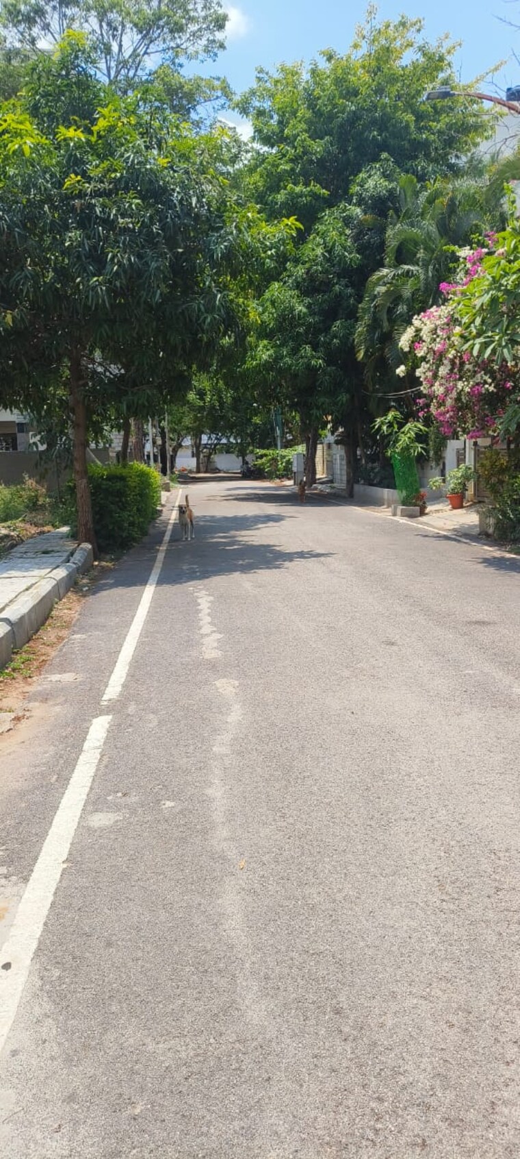 Exterior View, reliable-lake-dew-residency  2800 Sq.Ft. Plot In Haralur Road Bangalore 8650569