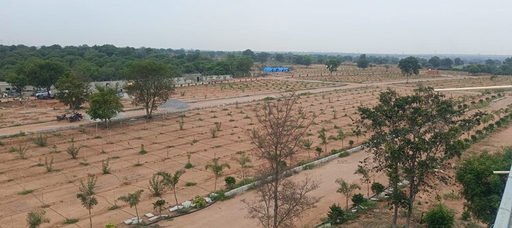 undefined, narsinghpura  100 Sq.Yd. Plot In Narsinghpura Jaipur 8650691