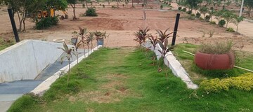  Plot For Sale in Narsinghpura