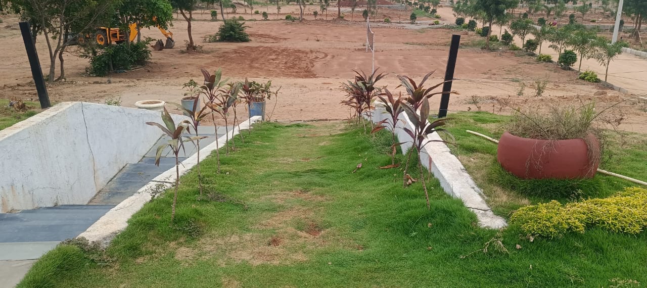 Plot For Sale in Pearl