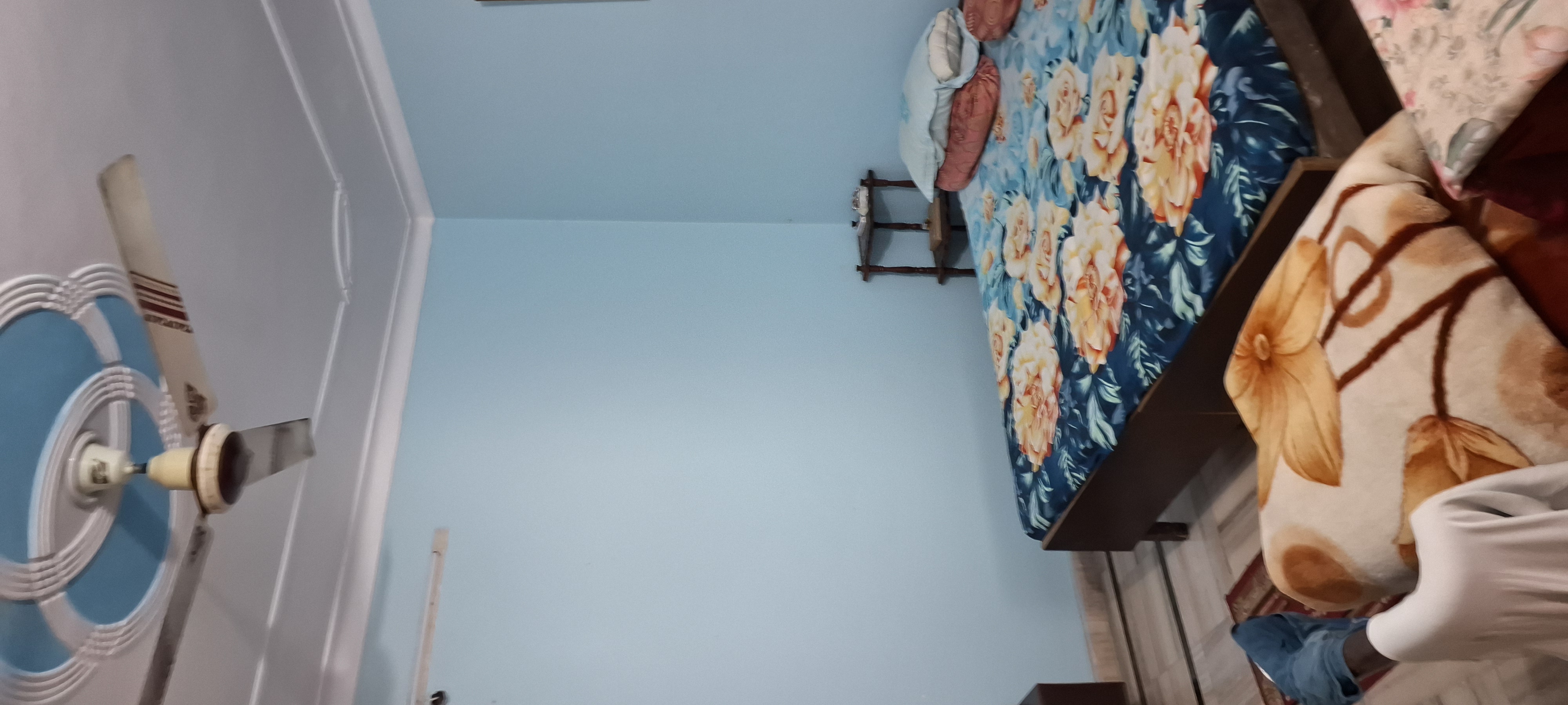 1.5 BHK + Study Room Independent House For Rent in Indra Property