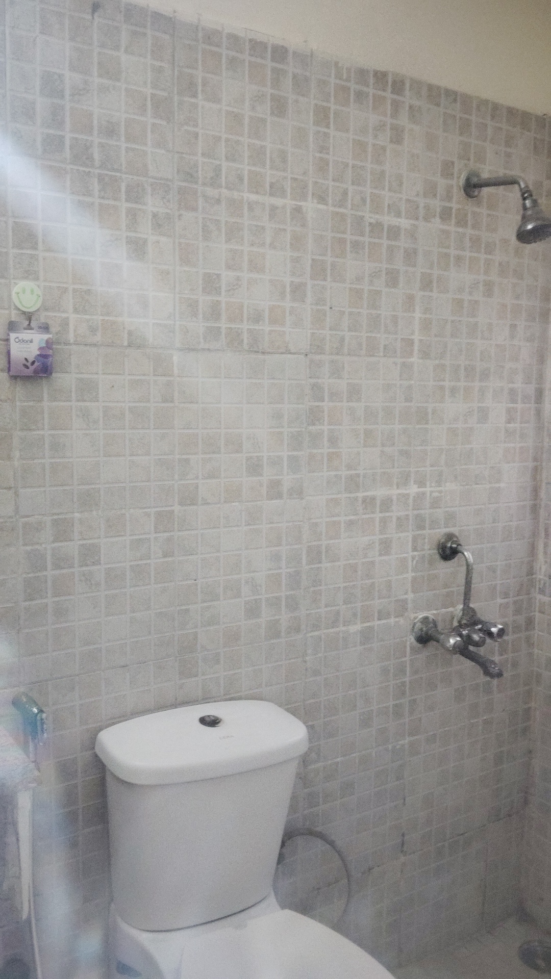 2 BHK Apartment For Rent in Paras Tierea