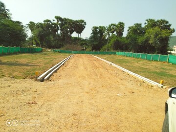 Plot Area in  Plot at Mahalakshmi Pharma Pride, Lankelapalem – for Sale
