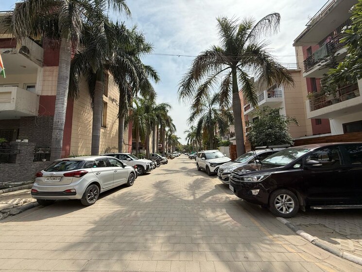  Parking, m2k-symphony-floors 3 Bedroom 1500 Sq.Ft. Builder Floor In Sector 51 Gurgaon 8651247