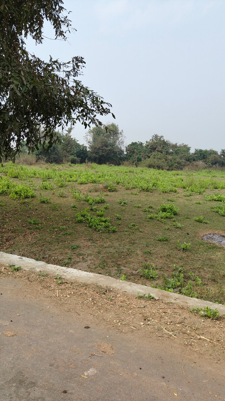 undefined, palsana Commercial Land 22500 Sq.Ft. In Palsana Surat 8651917