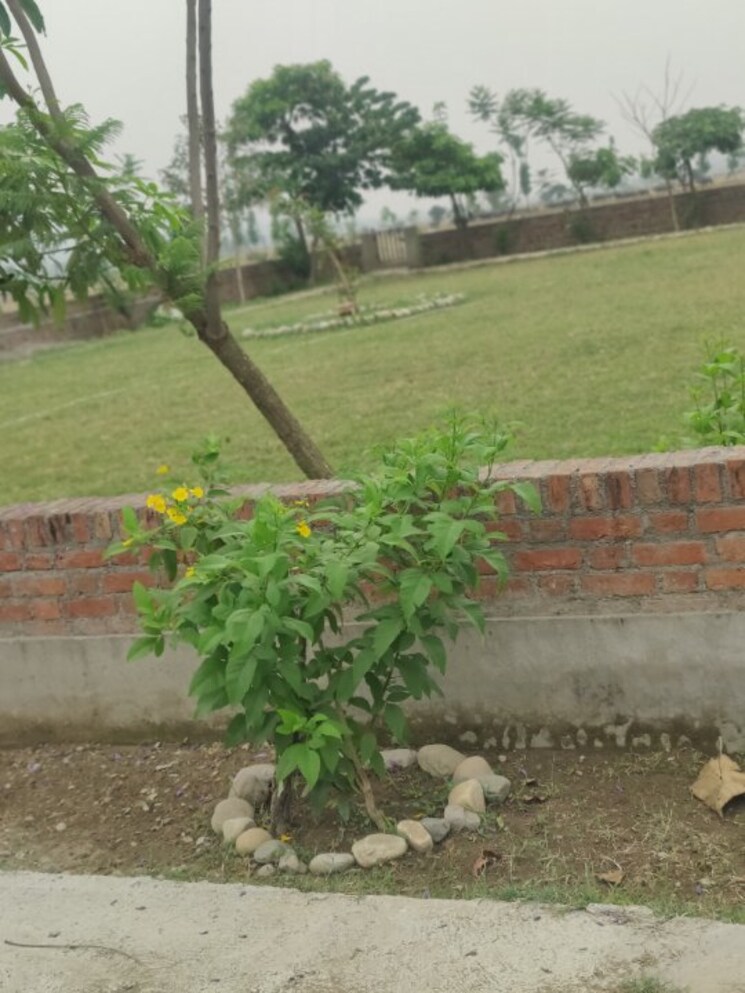 undefined, shimla bypass road  300 Sq.Yd. Plot In Shimla Bypass Road Dehradun 8652460