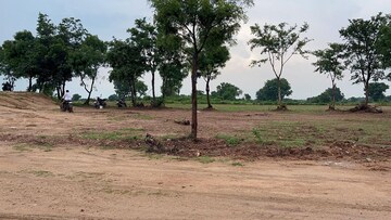  Plot For Sale in Shadnagar