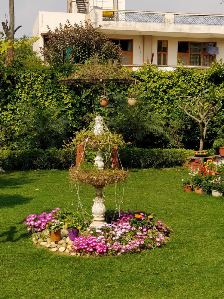 Garden, palam vihar 3 Bedroom 1600 Sq.Ft. Builder Floor In Palam Vihar Gurgaon 8653125