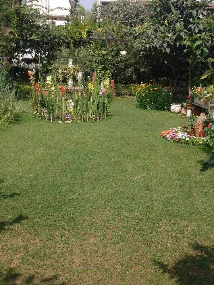 Garden, palam vihar 3 Bedroom 1600 Sq.Ft. Builder Floor In Palam Vihar Gurgaon 8653125