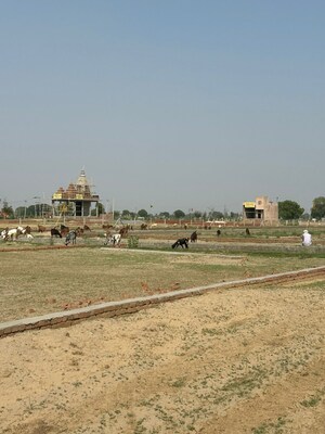  Plot For Sale in Jewar