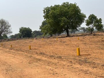 Plot Area in  Plot at Shankarpur – for Sale